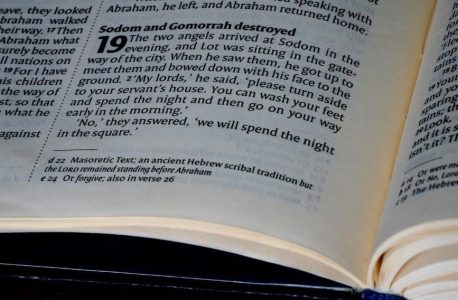 summary of the book of genesis chapter 1-50 pdf