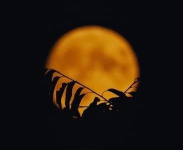 killers of the flower moon screenplay pdf