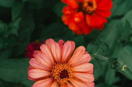 flower duet pdf